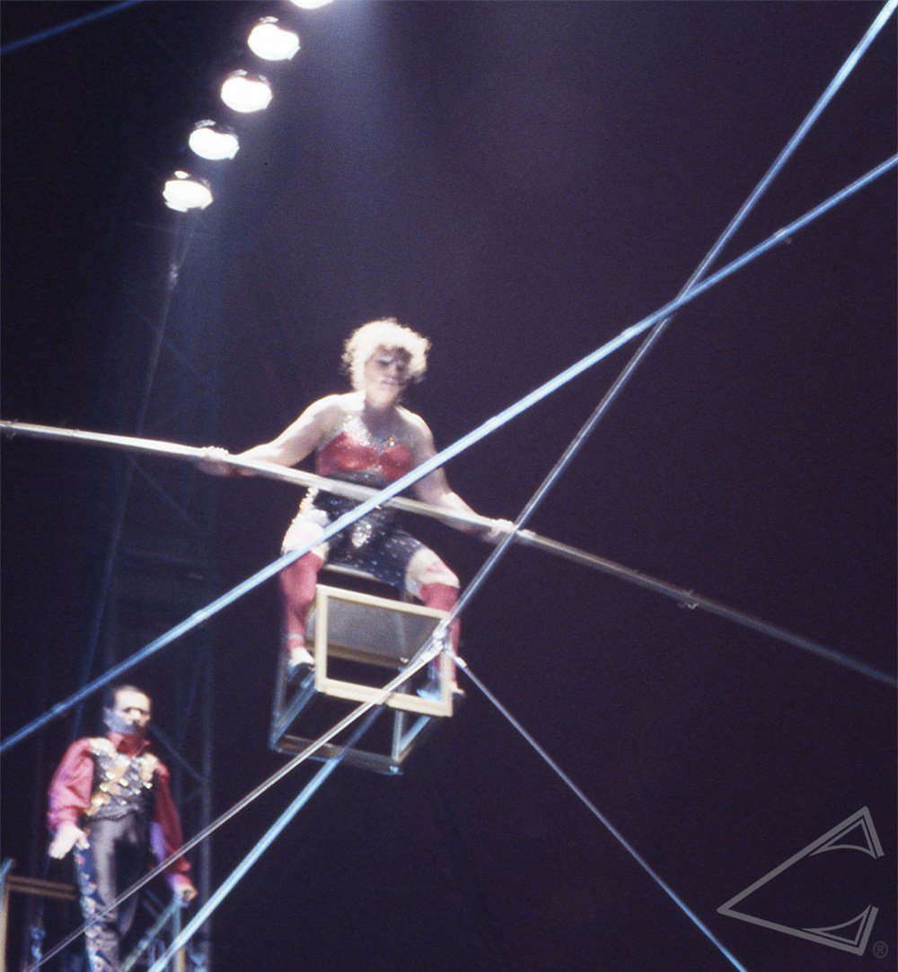 OverbiteFilms's tweet image. overbitefilms.com/2017/06/23/275/