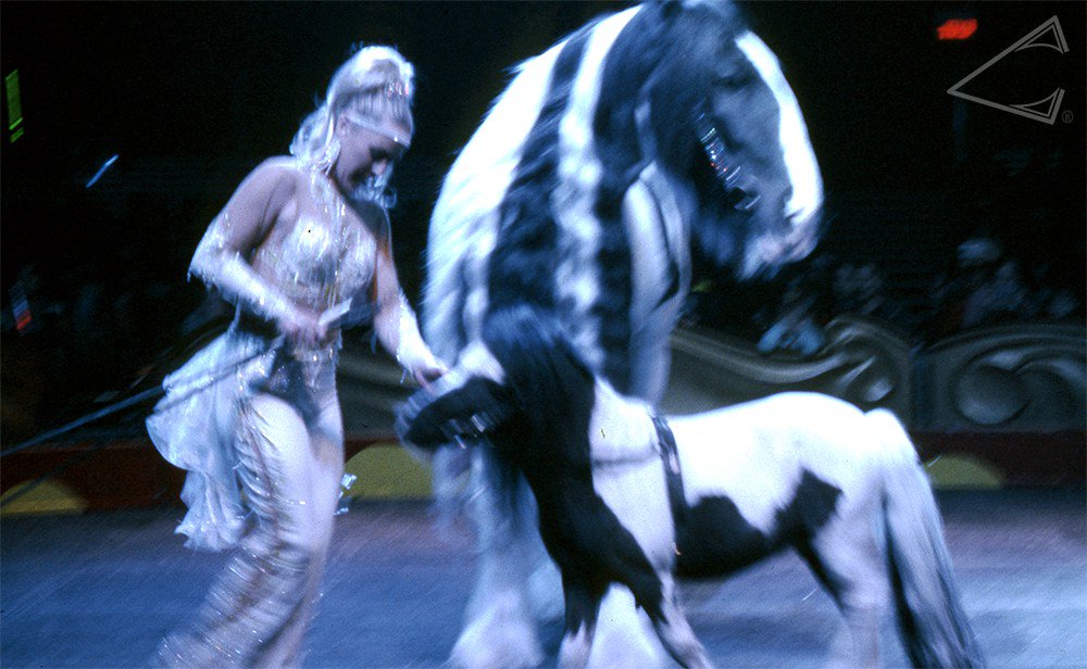 OverbiteFilms's tweet image. overbitefilms.com/2017/06/23/278/