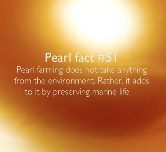 BelleCoAUS's tweet photo. #jewelmer #environmentallyaware #southseapearls available from https://t.co/jEGUMJpf0w https://t.co/UNCLt7hxeE