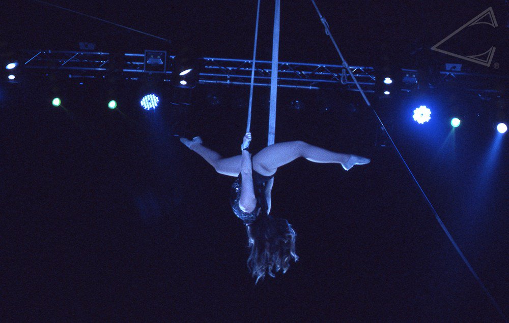 OverbiteFilms's tweet image. overbitefilms.com/2017/06/23/281/