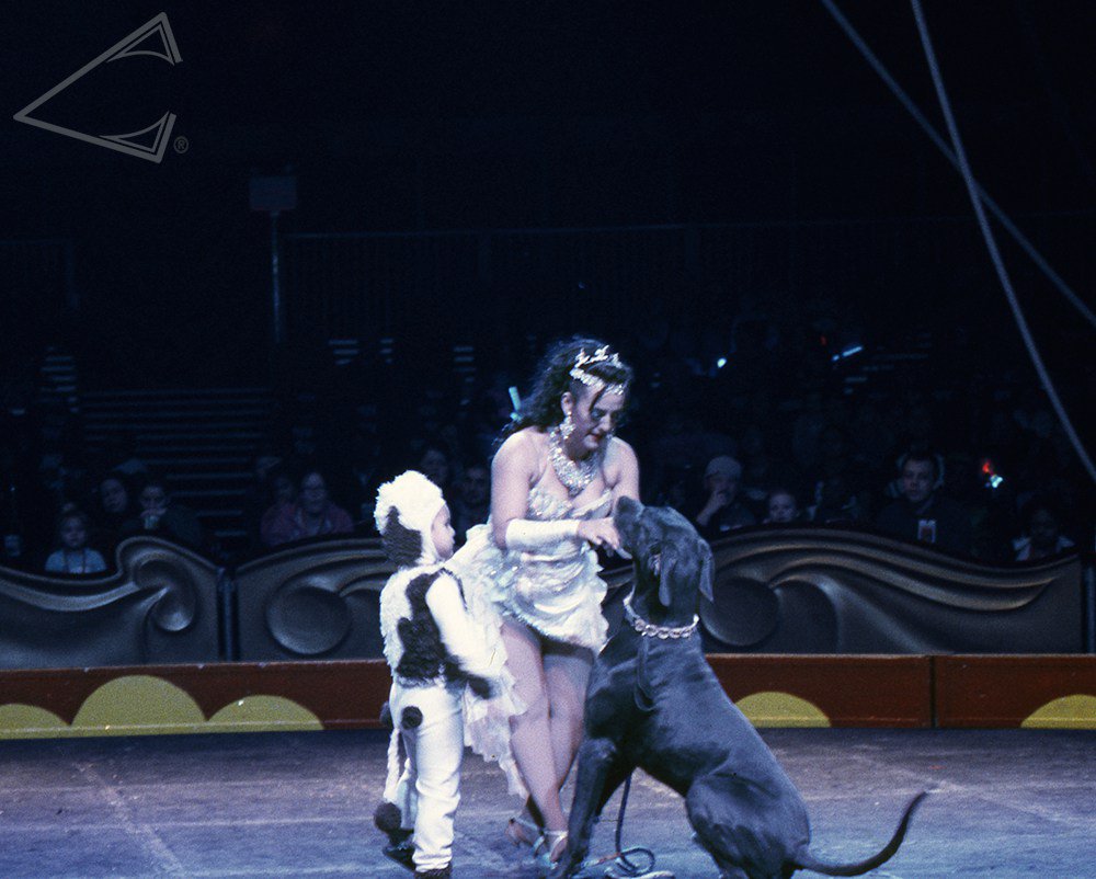 OverbiteFilms's tweet image. overbitefilms.com/2017/06/23/285/