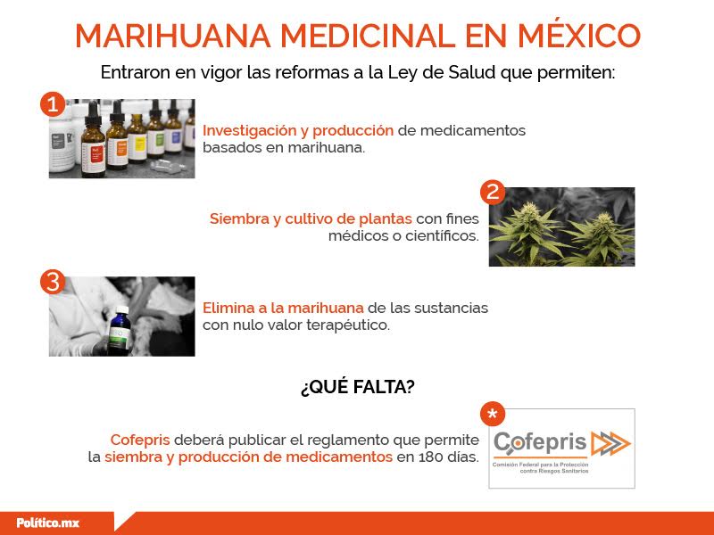 politicomx's tweet photo. La #MarihuanaMedicinal ya es legal en #México. 
Aunque aún faltan las reglas de la @COFEPRIS. Te contamos: https://t.co/ouQe7ofZcM https://t.co/4vpNDK7OzS