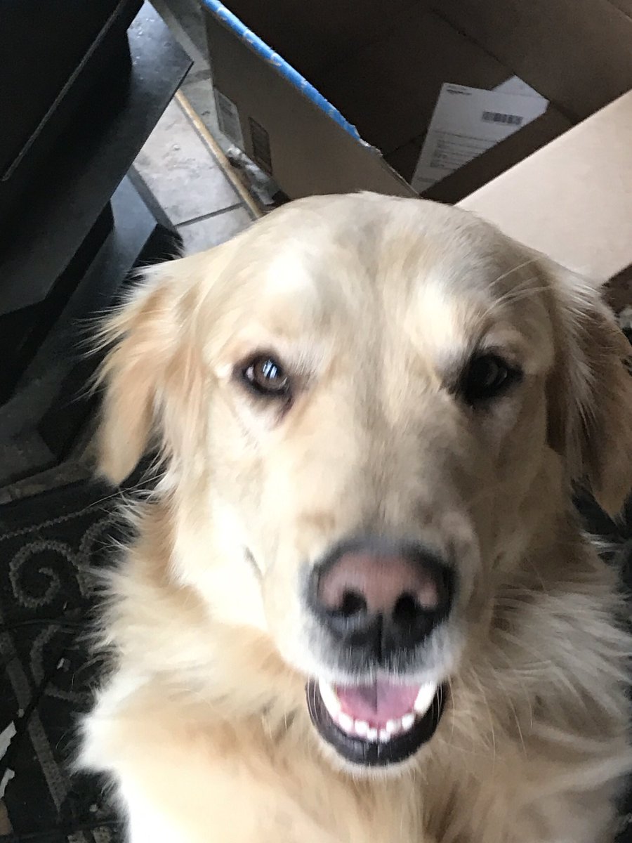 Gordonsol0x's tweet photo. Brady love @marigelpellin @BsoRules @amandaje17 @yustman2 @timelesssoul1 @nfulmer0827 @AnnMarieLA1 @Miracle63373979 @anna_riess https://t.co/adKrIHkVDI