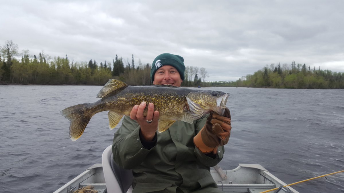 WildernessNorth's tweet photo. Guests are reeling in monsters! Out Makokibatan Lodge has seen 41 walleye master anglers already and summer just started! Bring on the fun! https://t.co/Ura4RVBiPk