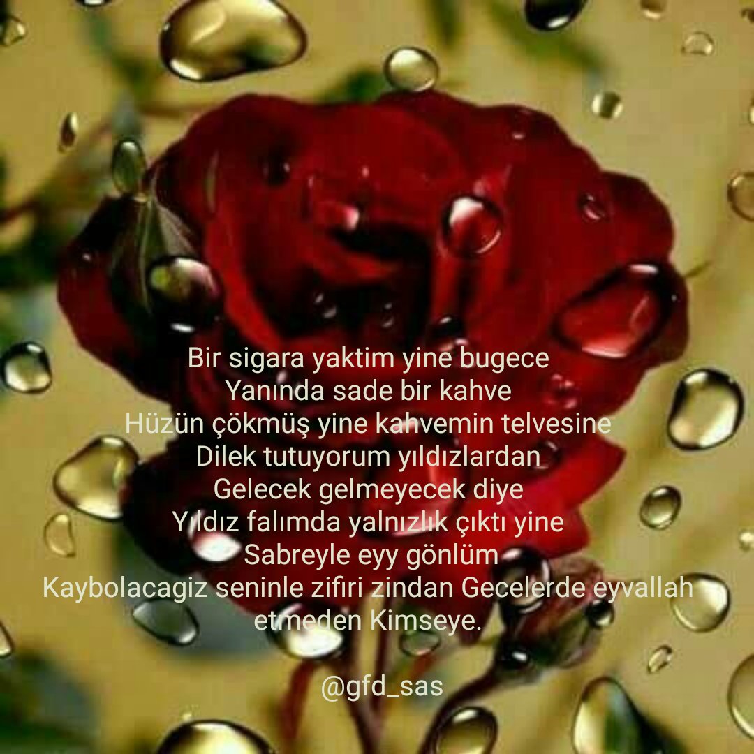 Çisenti (@isenti4) on Twitter photo 