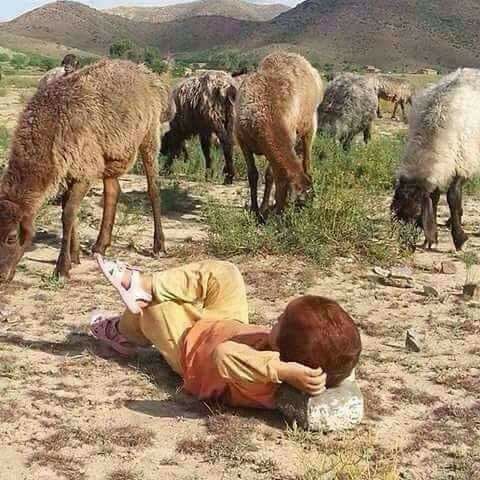 Mostafa78440593's tweet photo. نام صغيّ العين يوم ان كفيته
وانا اقول.. مكفول الهموم ينام https://t.co/PRDNyDQX1v