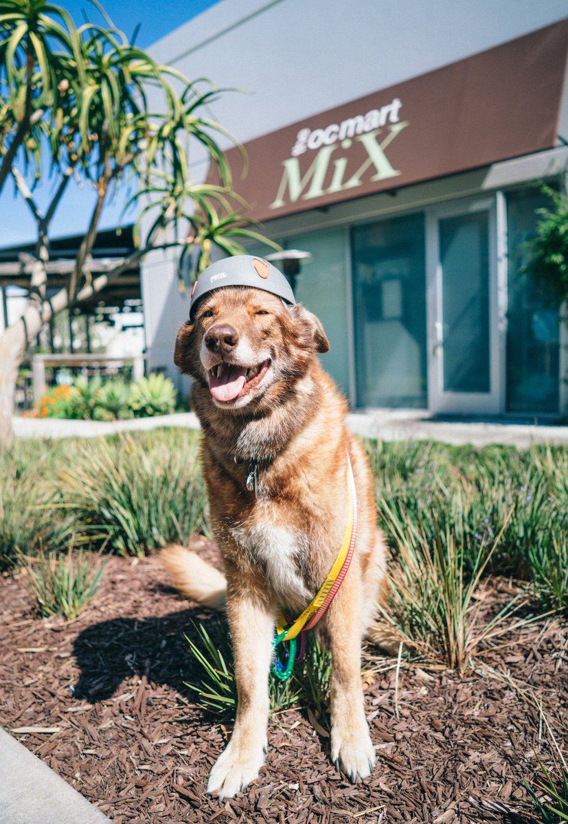 Gear Coop (gearcoop) Twitter