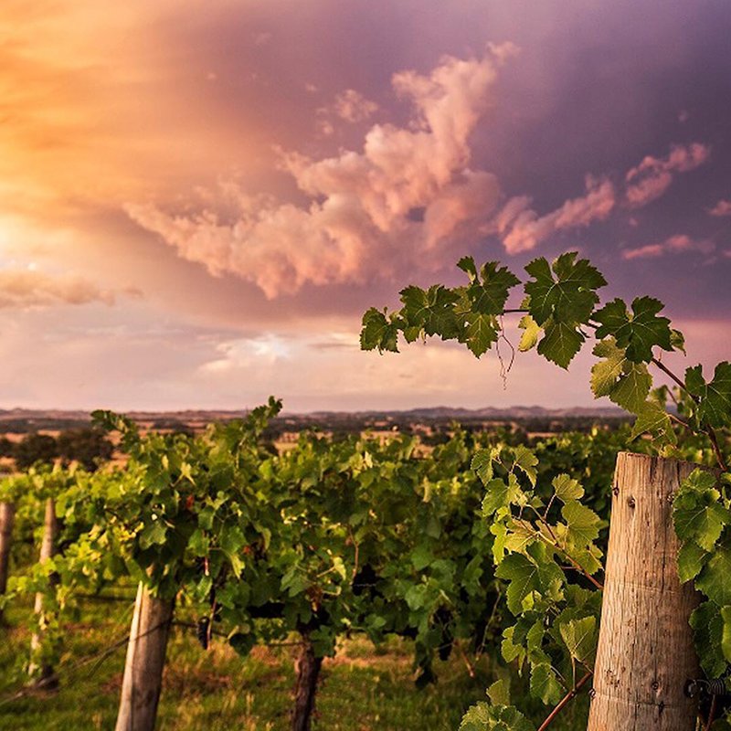 iVvySoftware's tweet photo. Do you π events, food & wine? iVvy does! The Good Food & Wine Show is running all weekend in Sydney! #goodfoodie #iVvy #iVvybuzz #events π·π§ https://t.co/EU32AVQqiu