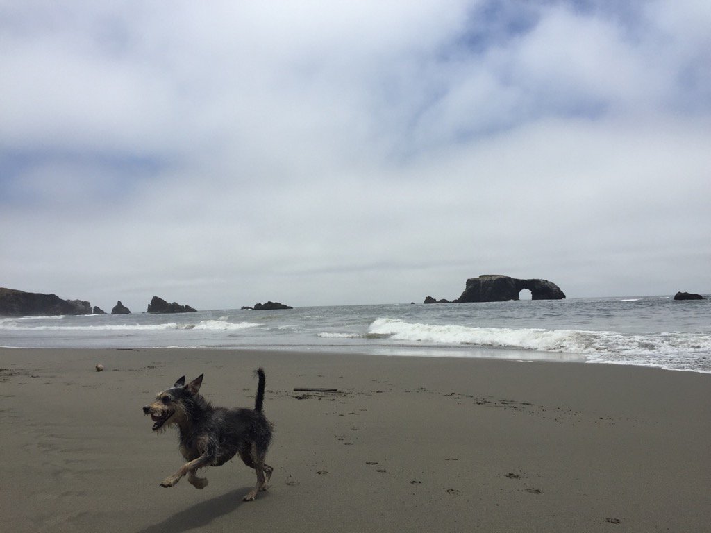 MrSagalasClass's tweet photo. Enjoying my summer, recharging for the upcoming school year! #monkey https://t.co/EENmRuXTOw