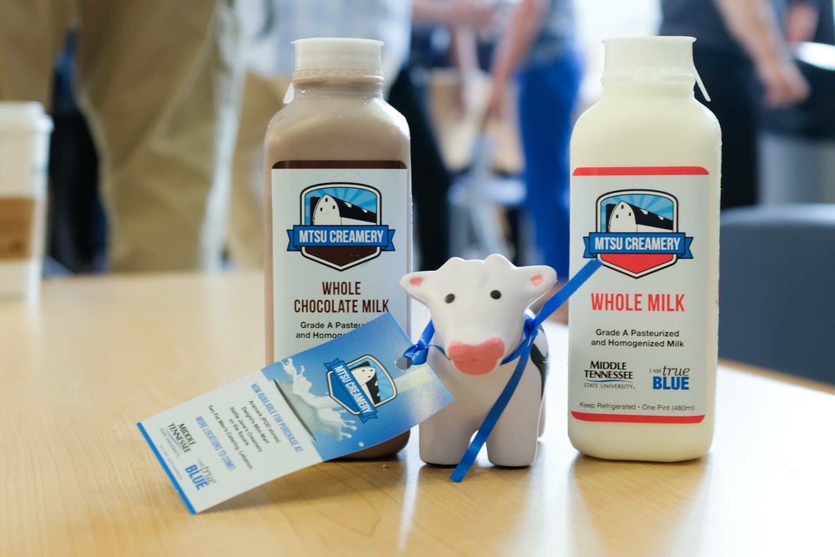 MTSUPolice's tweet photo. Famous MTSU chocolate milk now being bottles and for sale at PODs, local stores. #trueblue #truemoo https://t.co/WhearPuyXO
