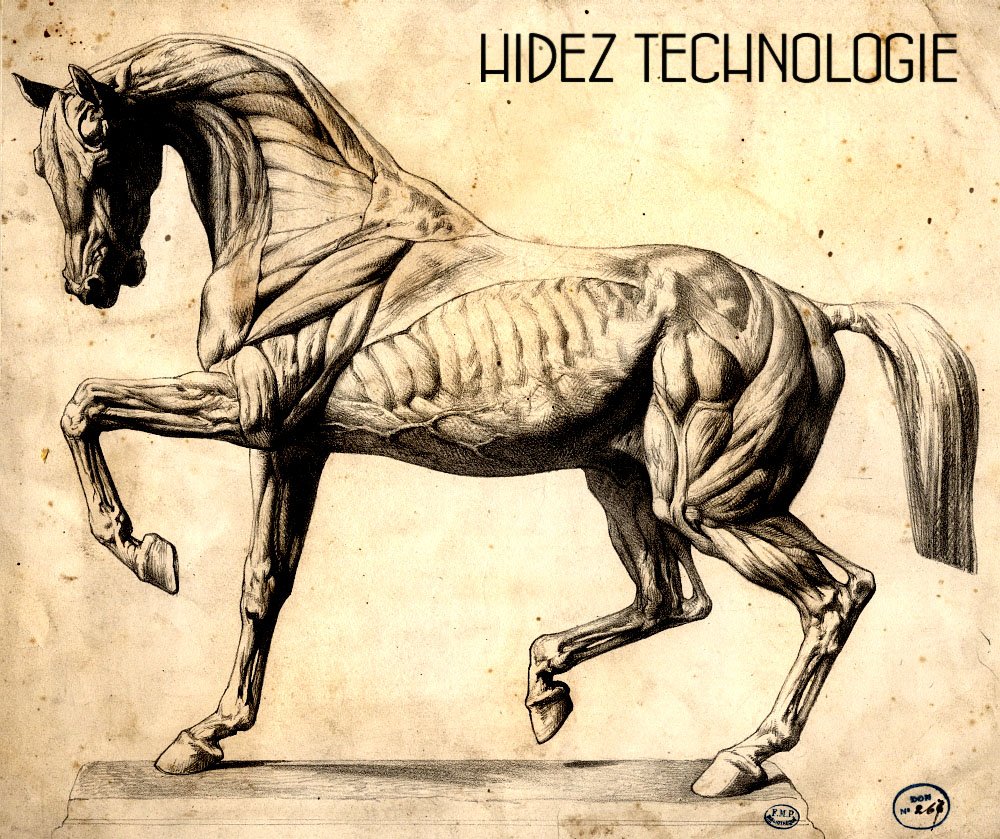 hidezaustralia's tweet photo. https://t.co/2XEuVLLyqI           
Compression Technology https://t.co/SsNTJiPNii
