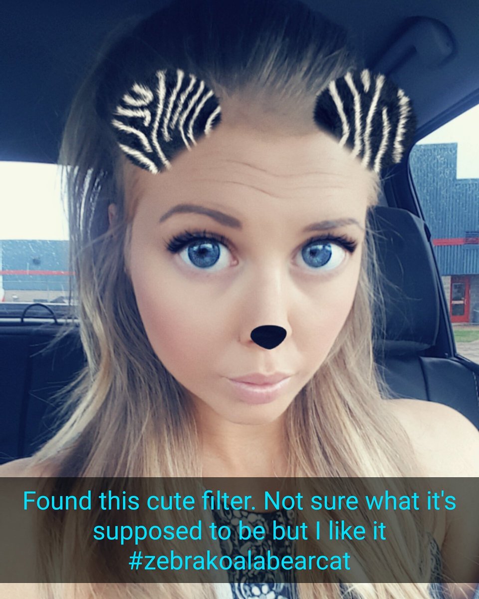 Haha I had to.. Happy Friday everyone! :) xo #snapchatfilters #addicting #zebrakoalabearcat