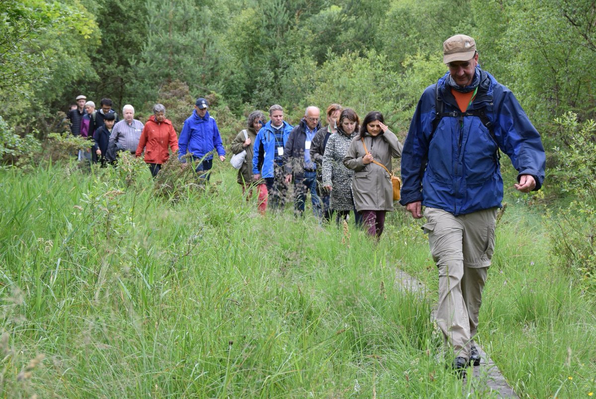 Abbeyleix Bog tweet media