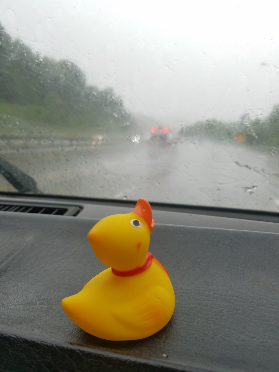 coteriesband's tweet image. The rain done just popped outta nowheres! Even Ducky was caught off guard! #ducky