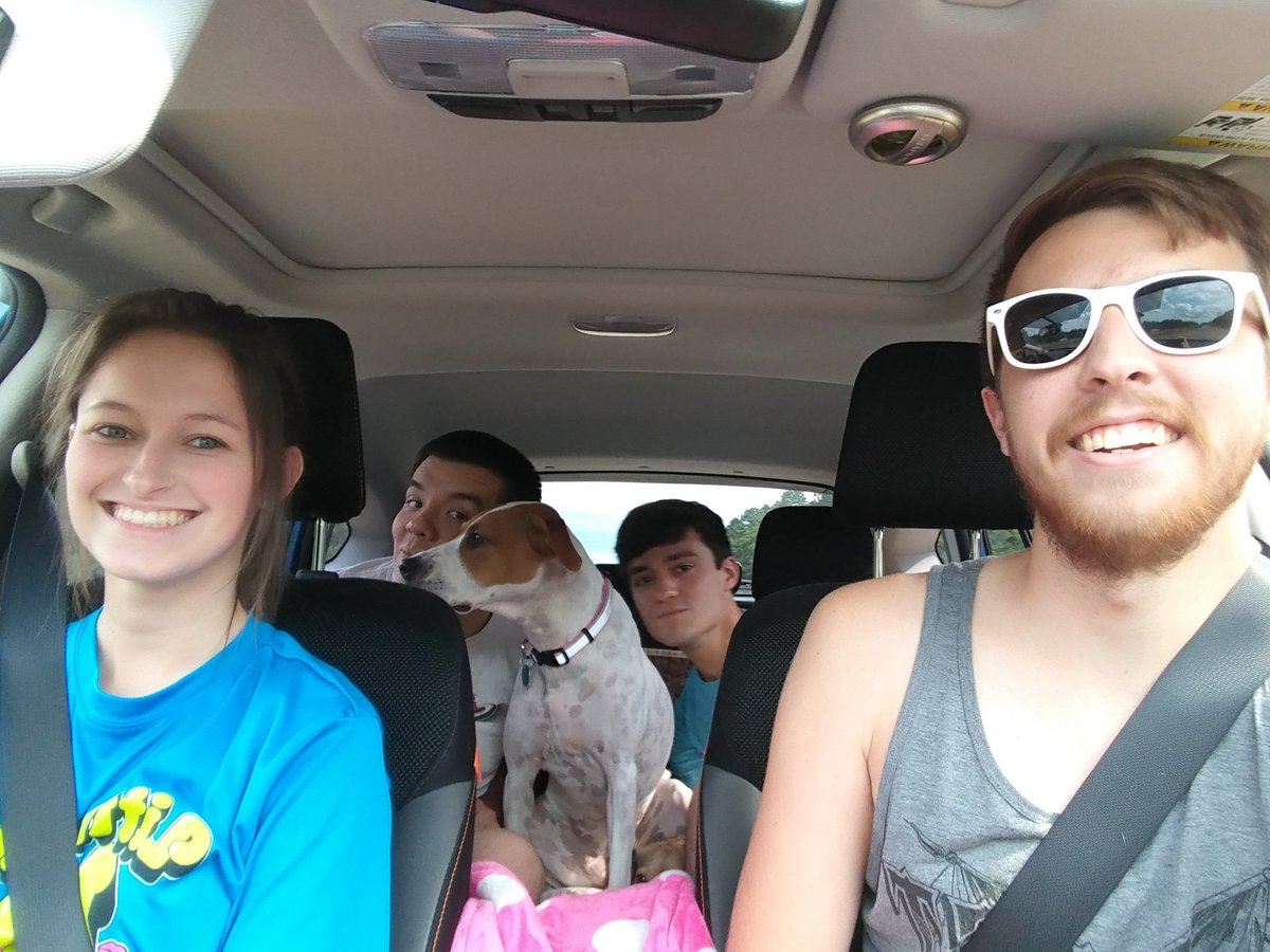 Mixed on the Rock tweet media