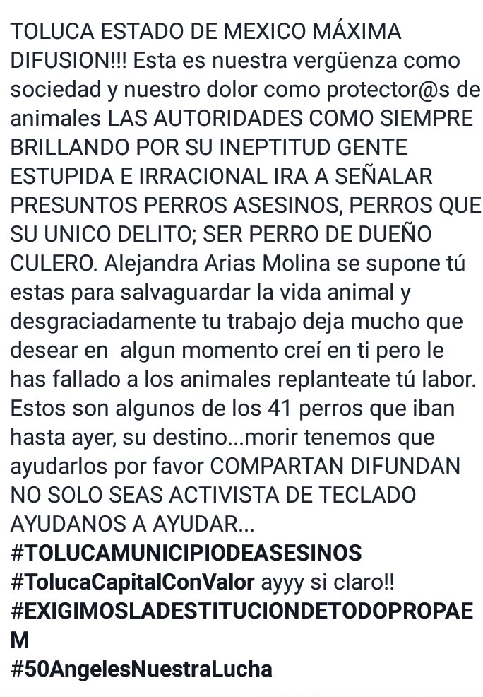 alezazulyoro's tweet photo. @prensaanimal4 @Buscando1amigo @Eliza_SotoP @Paola_Ortal @DefAnimalMX @Laura_Lorena17 @propaem_sma @eruviel_avila @Gestion_Eruviel https://t.co/onb756FoYY