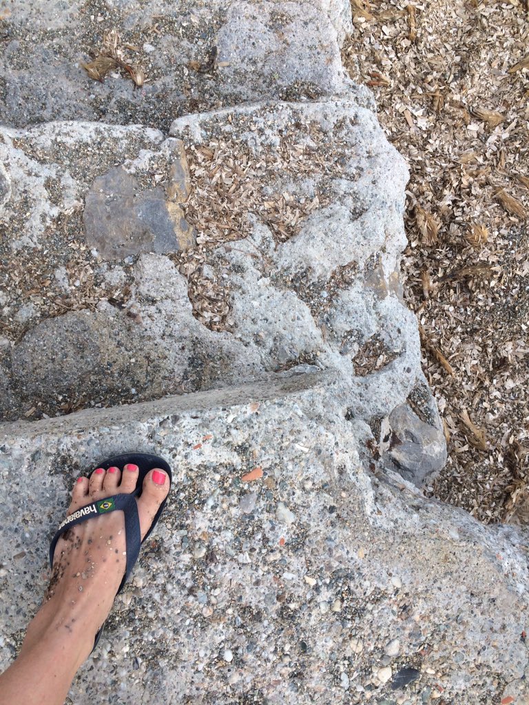 cavickhousefarm's tweet photo. Post beach feet 👣🐚🌊#lamer #southoffrance #sand #postbeach #swimming #holidayvibes https://t.co/zETsVD7P2b