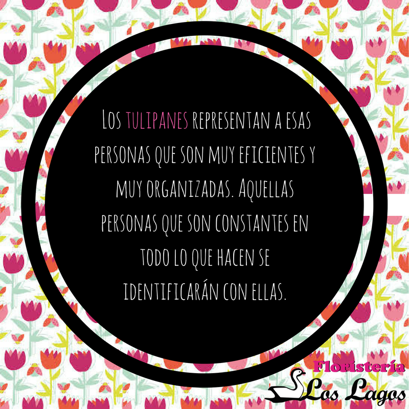 floslagos's tweet photo. ¿Con cuál te identificas? #AmigosDeLasFlores https://t.co/7NRm0fqsHO