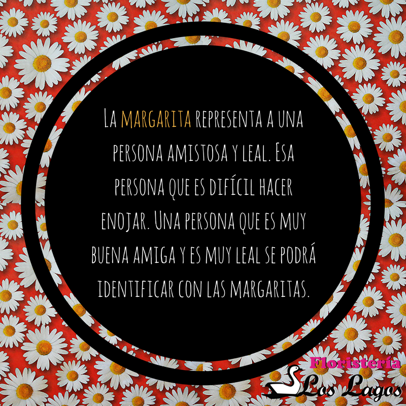 floslagos's tweet photo. ¿Con cuál te identificas? #AmigosDeLasFlores https://t.co/7NRm0fqsHO