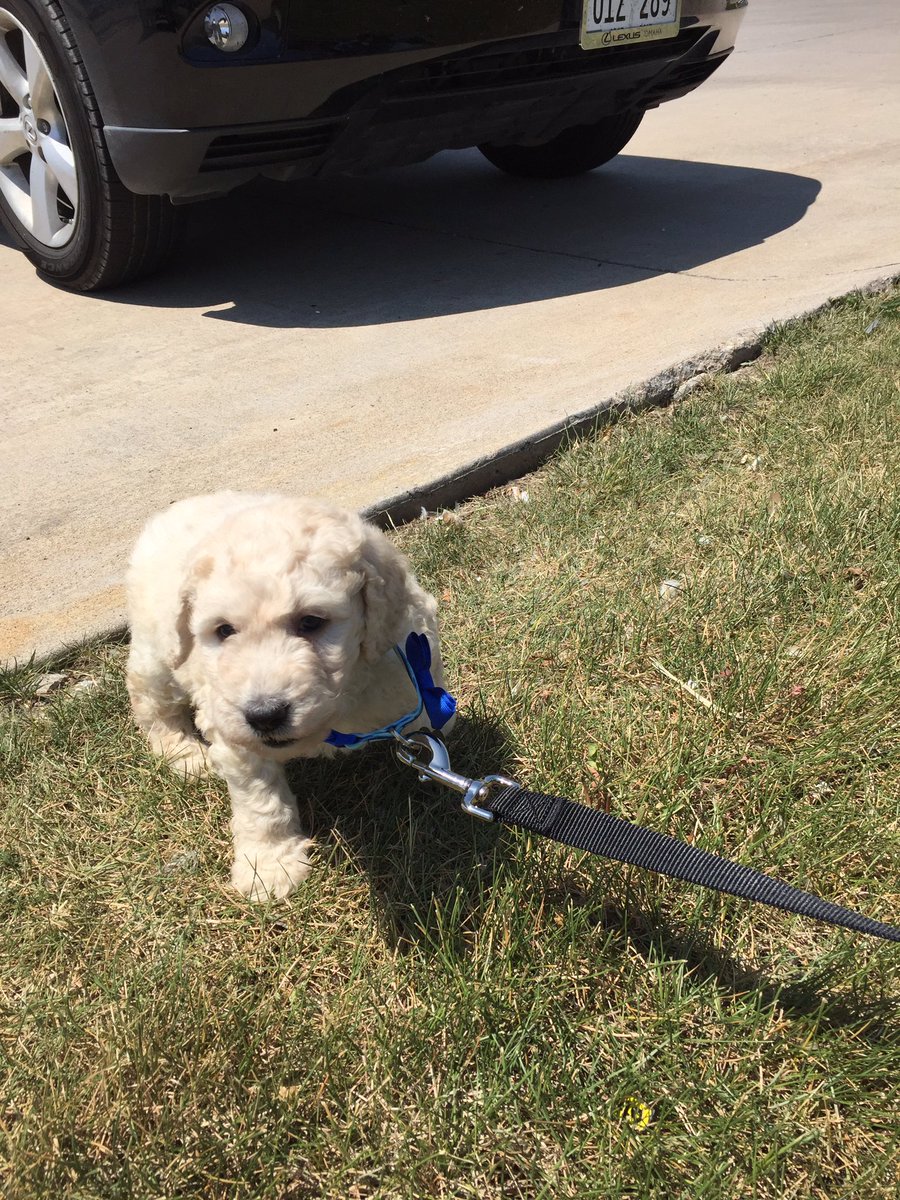 toddsutter2's tweet photo. @CarSnapsOmaha #test_campaign https://t.co/UFLGCpTwyV