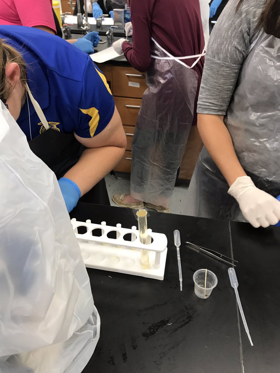 steskildsen's tweet photo. Does your animal have parasites? We can check! Fresh feces smear and feces float, Act.8.3.2! #CASEState #ASAHerd #case4learning https://t.co/VNVAAHvCSx