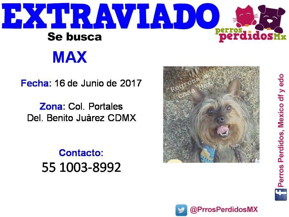rumabo1's tweet photo. @La_Portales @ErmitaMiravalle @La_SanSimon @VertizNarvarte @Col_INDEP @Vecinosgralanay @PrrosPerdidosMX @sebuscaCdMx  @fellpudito @EsEstra https://t.co/Apxjs6lXHz