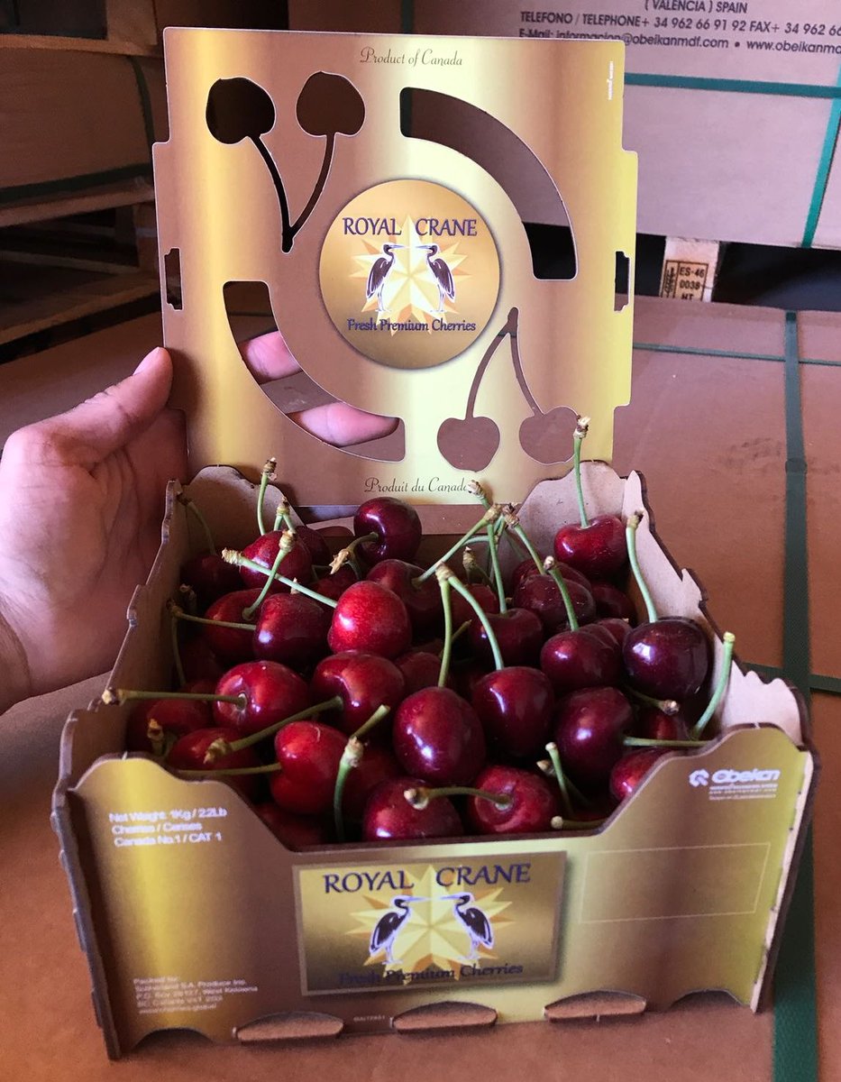 Sample of our Royal Crane 1KG Gift Box! Starting to pack Monday with BC grown Cherries
cherries.global
#canada #bc #grown #cherries