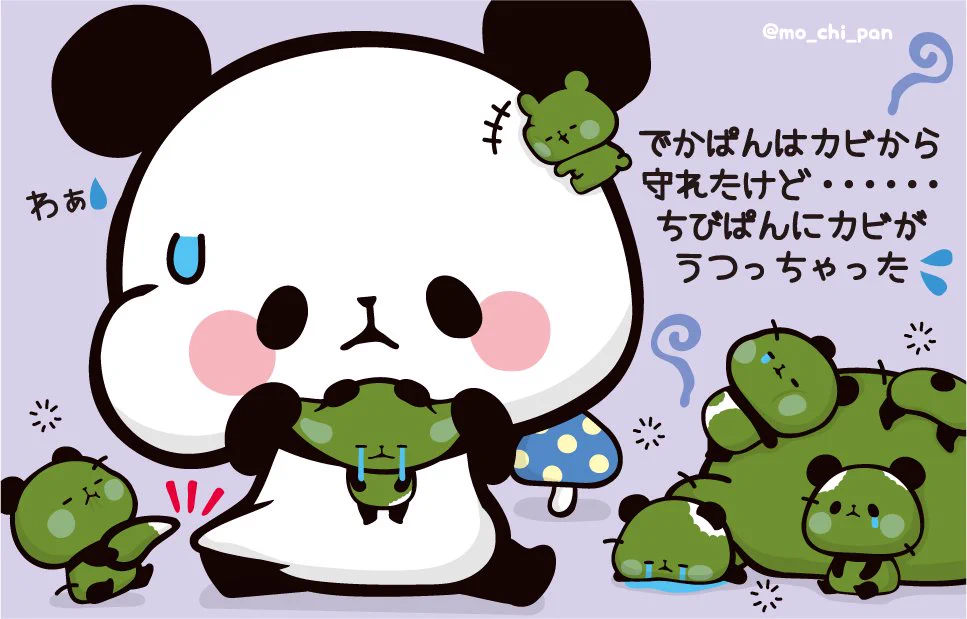 もちもちぱんだ【公式】 on X: 