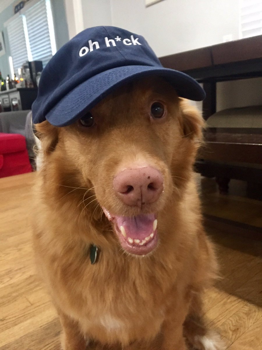 stefbrych tweet media