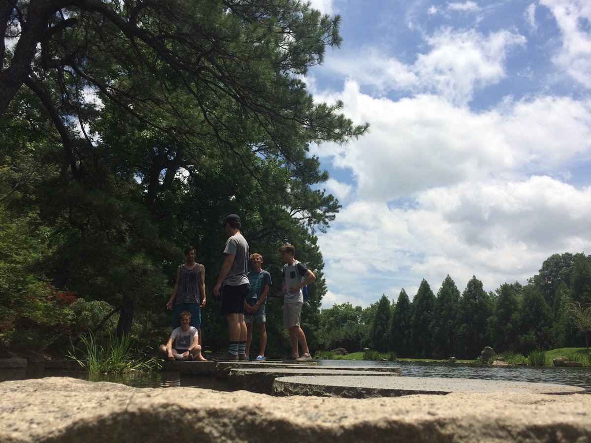 doward13's tweet photo. bisonland, wetland, tree, house of koi #mamnt https://t.co/XWBqtP3ZnS