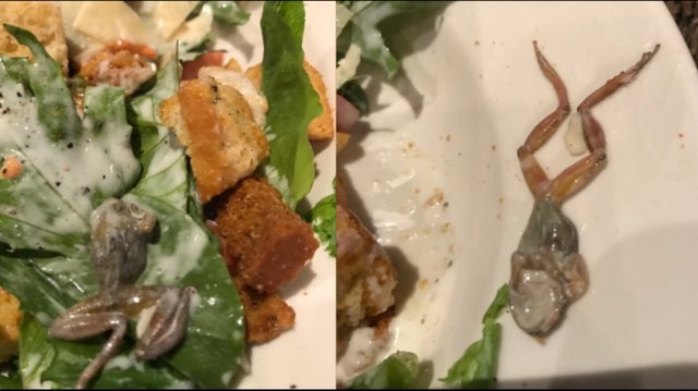 Woman finds frog in salad at restaurant chain bit.ly/2t4pymD https://t.co/aoAFRLq1qq