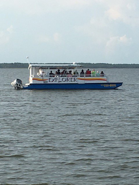 CetaceanCruises's tweet photo. Hop on the Explorer and learn something new on our #DolphinCruise. https://t.co/Hs2iMBcETV