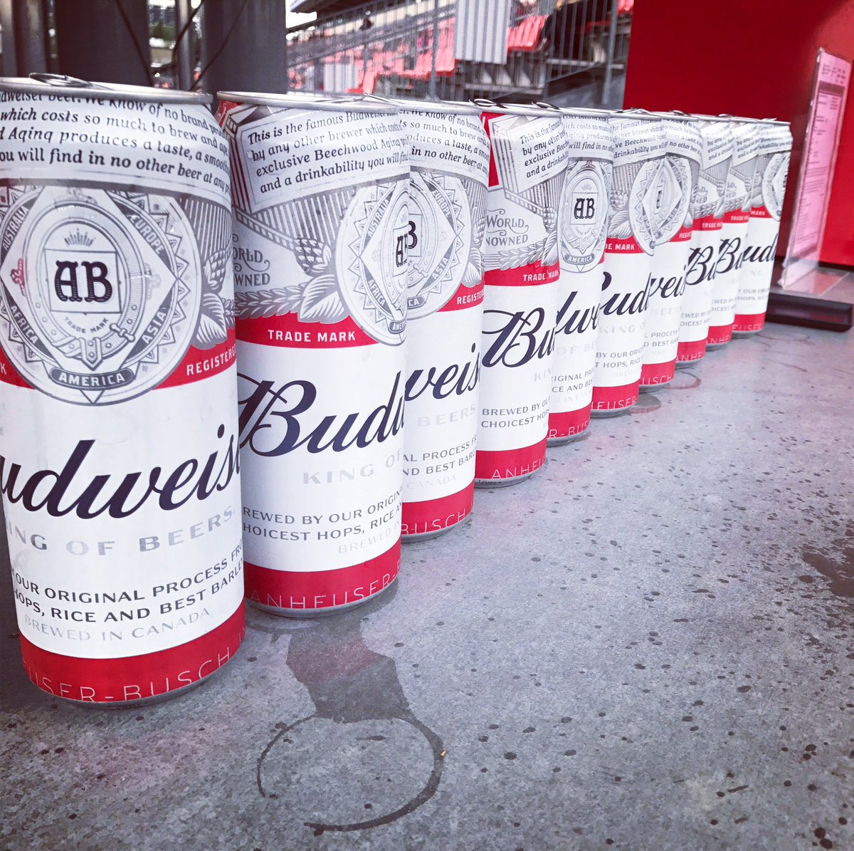 brianturpin's tweet photo. #10 #kingcans #tfc #budweiser #beer #drinkup #cheers #740ml #toronto #goredsgo #bmo https://t.co/MxuDy9tVvX