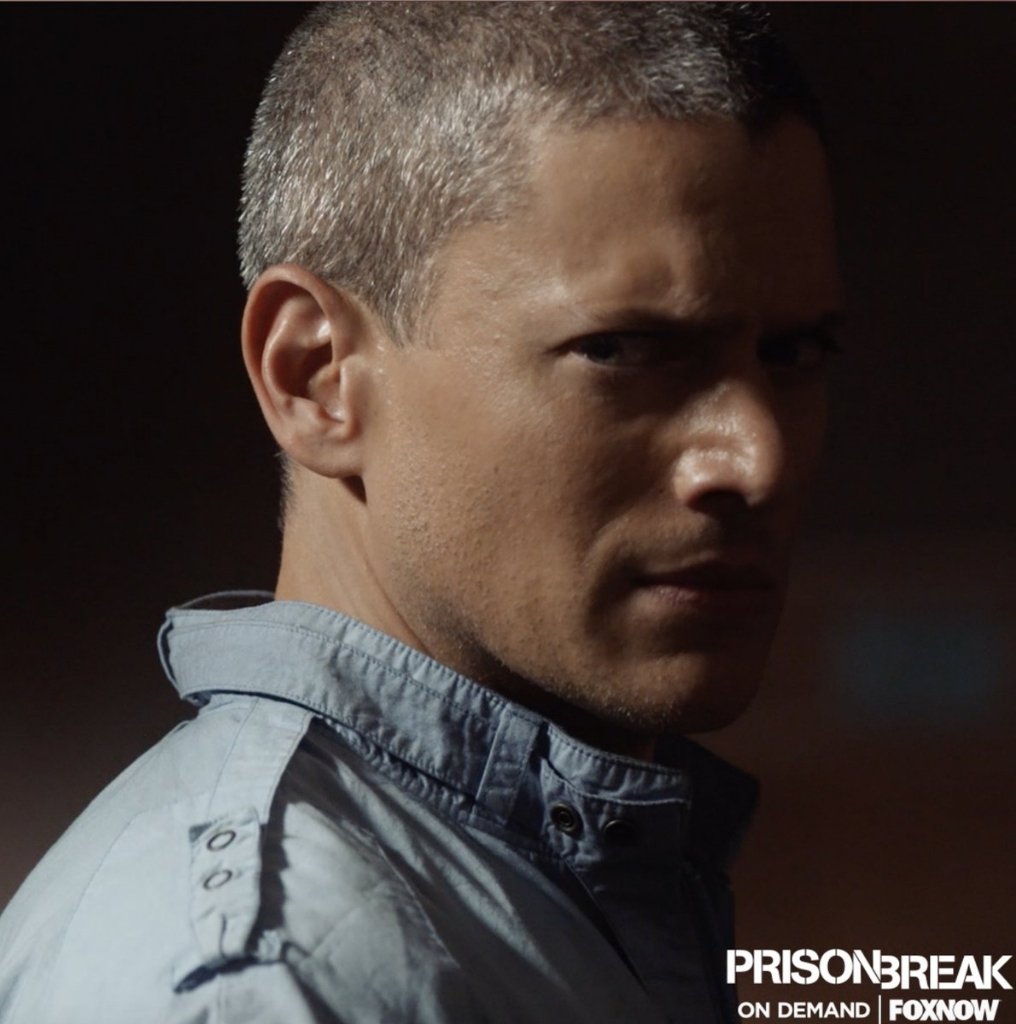 Wentworth Miller Updates tweet media