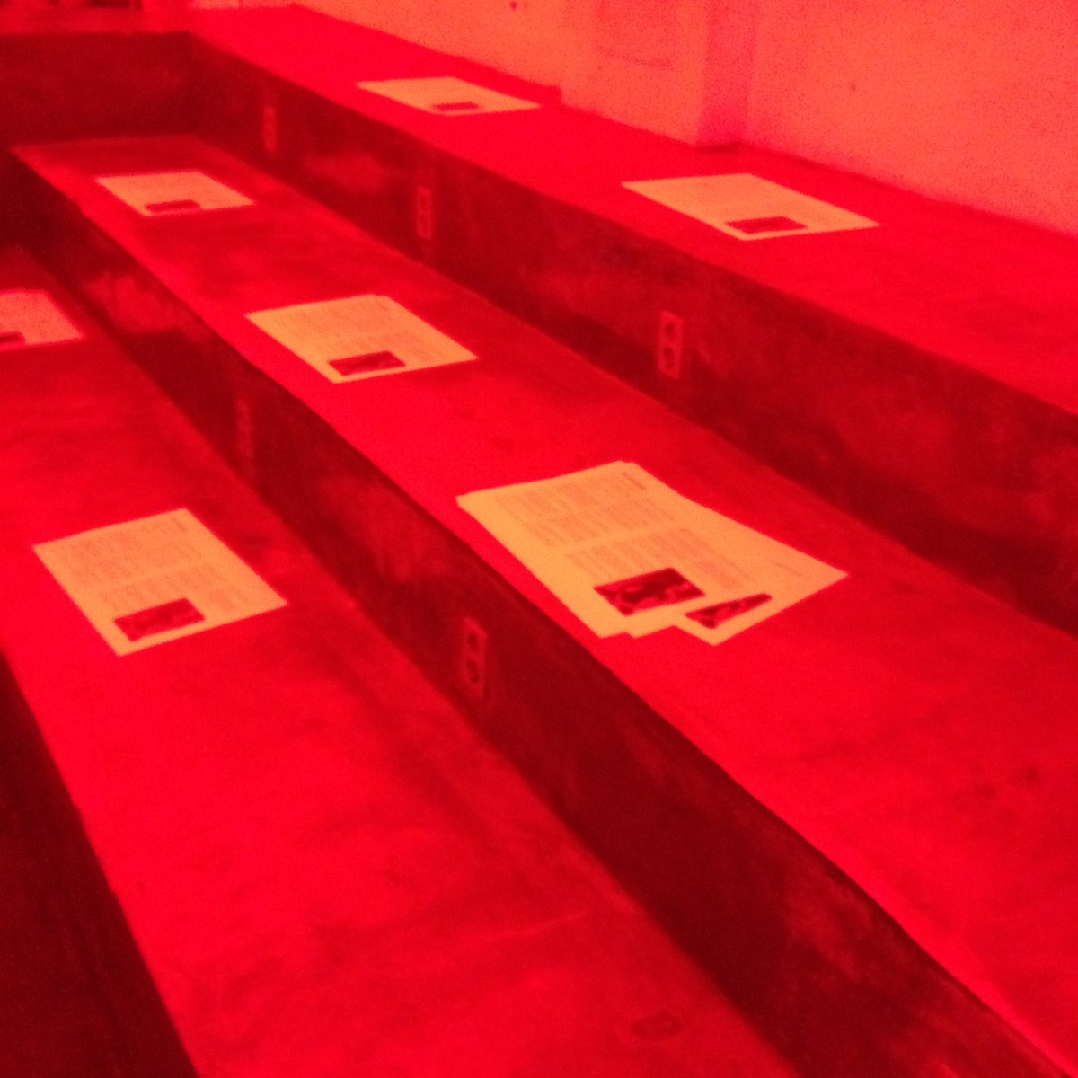 𝔜𝔲𝔶𝔲𝔫𝔤𝔰𝔦𝔎 tweet media