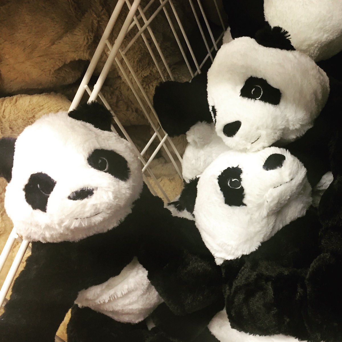 Dreamosphere's tweet image. BACK TO IKEA • TGIF • 🎈• 🐼• 💋• 
#FridayFeeling #IKEA 🇨🇦#DreamosphereBlog #Inspo #TGIF #Pillows #Pandas #Lighting #Decor