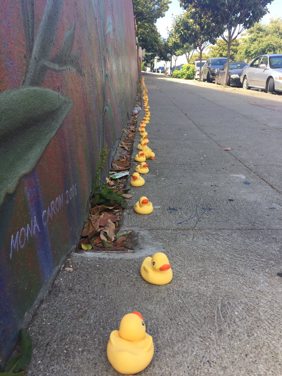 Carrie Kelly tweet media