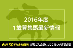SILKHCofficial's tweet photo. 満口のお知らせ(57.ローザミスティカの15 )
ご出資いただきました皆様に厚く御礼申し上げます。
https://t.co/lDjtpW7io3
#silk2016 #満口58頭目 https://t.co/mLj564v8hX