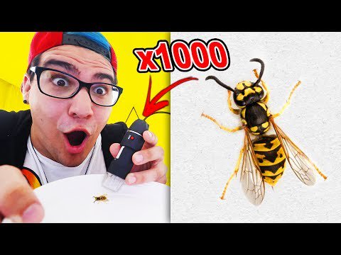 SouBemBrasil's tweet photo. #OBSERVANDO# #INSETOS# #NOJENTOS# #COM# ... - VIDEO-> https://t.co/FYsRUHedI1 #Brasil #Challenge #Criança #D4rk #D4rkframe #Dark #Darkframe https://t.co/UWYGacgox2