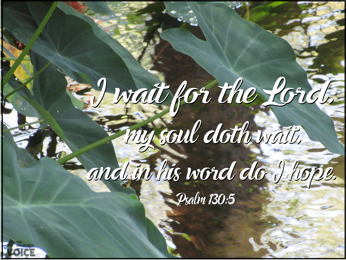 TBV_Post's tweet photo. We wait patiently for the Lord, our souls expectantly wait and in His word do we hope.

#WaitingfortheRedemptionoftheLord https://t.co/qUA2oUVjQC
