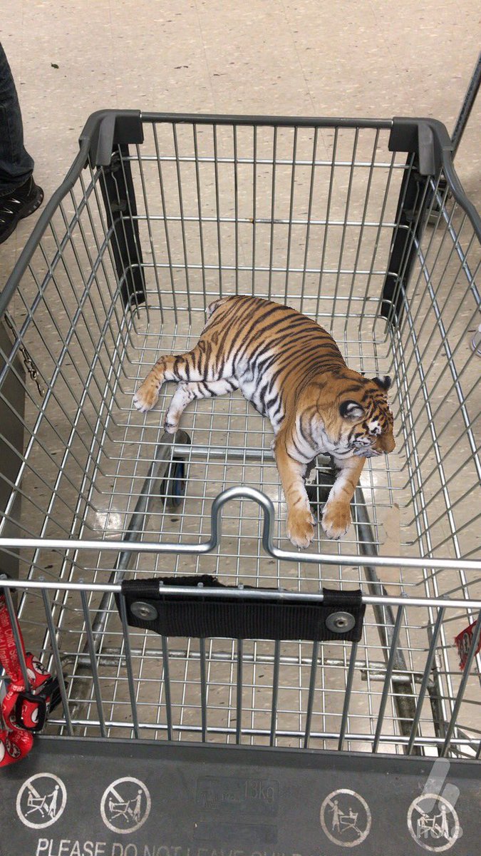 The things you didn't go to the supermarket for #HoloApp