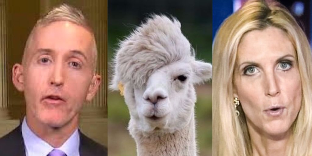 ScottAStern's tweet photo. @kim @rob_sheridan @thehill @GOP I'm still waiting for this scandal to break.

No way they're not the parents. https://t.co/8khkohZ3ns