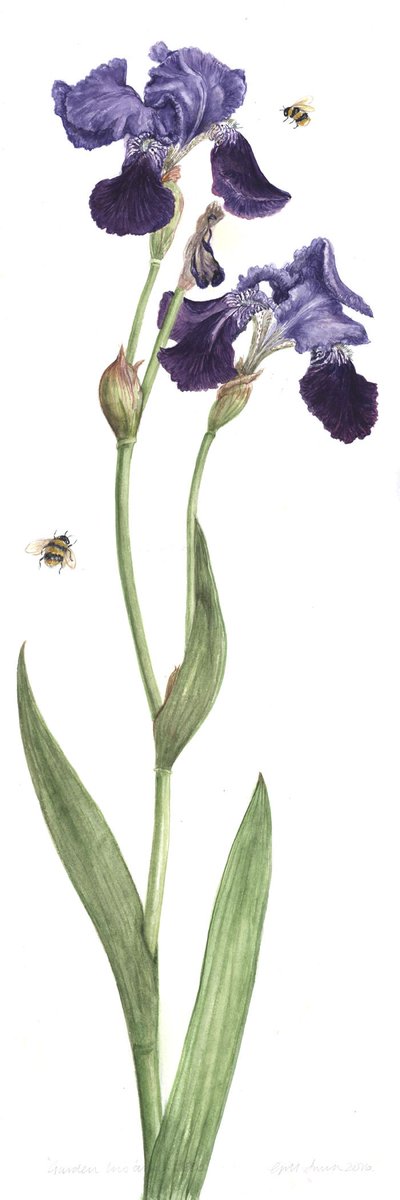 Last week of show! AlanBraby ScottBrennan DamianCallan IanLedward RonaMaclean HeatherMcLennan NewtonRoss LindaSheridan MarjorySime GillSmith