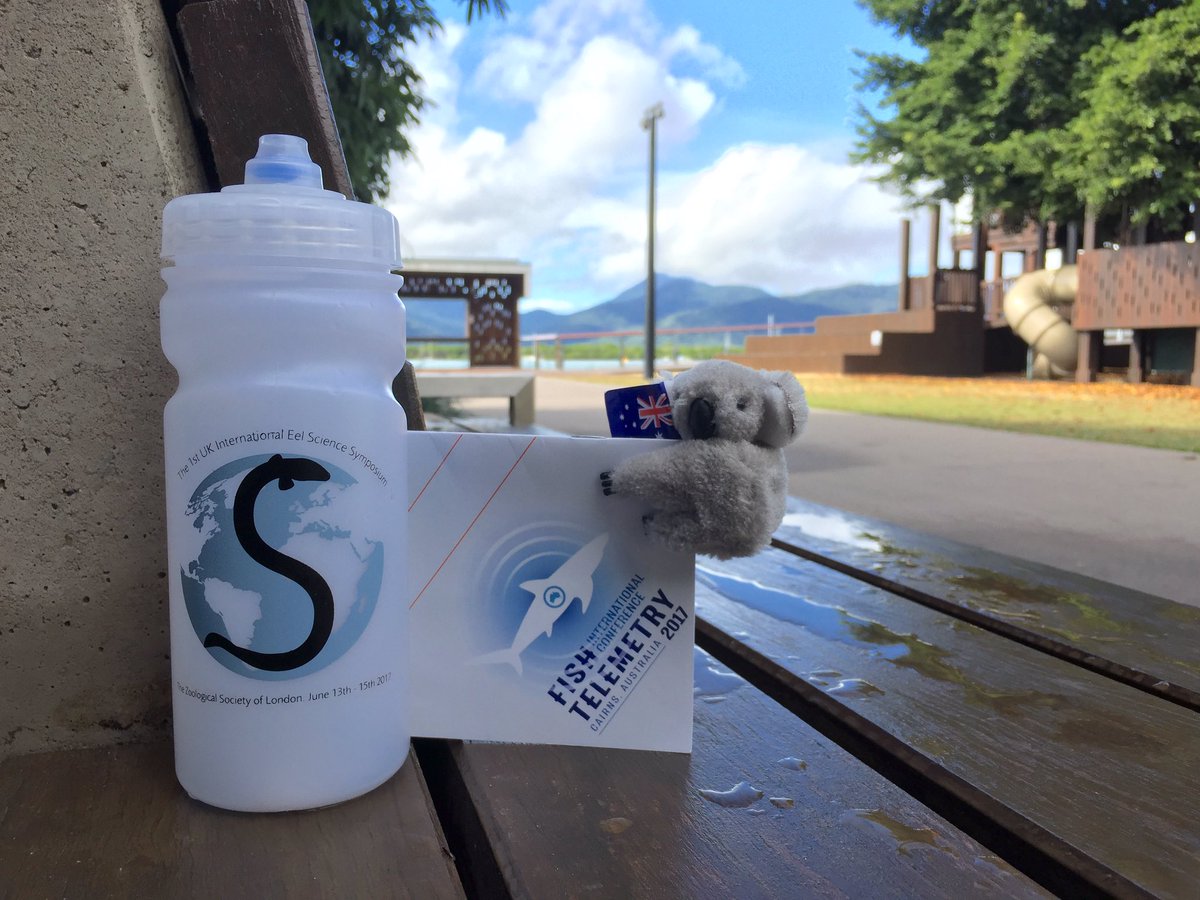 alanwal50912551's tweet photo. The #oneless #eelscience2017 bottle made it all the way to the #4thICFT in Cairns Australia https://t.co/0eFFfe08dm