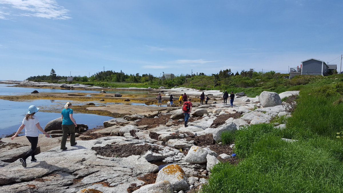 isabelle1048's tweet photo. #Interti_Dal #dalgoestidal #dalhousieuniversity #dal #lowerprospect @DalScience https://t.co/CI6HELrrci