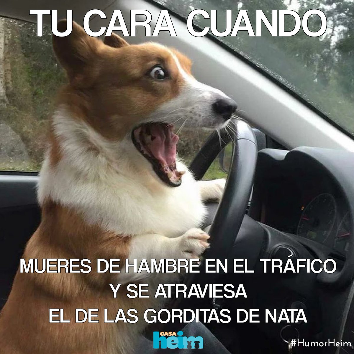 CasaHeim1's tweet photo. Esa sensación cuando ves al joven de las gorditas de nata en el peri. https://t.co/DvvKphoCjx