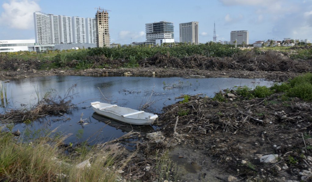 El manglar de #Tajamar en Cancún deberá ser restaurado por la Semarnat  bit.ly/2t4SBGx