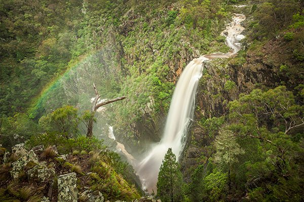 TuruAU's tweet photo. Walcha is the ultimate gateway to hectares of national park, wilderness and state forest. https://t.co/Xgfgz3s3vP https://t.co/rfQc4hcoZ5