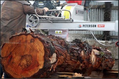 PetersonSawmill's tweet photo. #WoodProductionFrame #swingblade #portablesawmill demo at #SawTechLogExpo #Ontario https://t.co/dD8jpDZgMV https://t.co/GXhv06d1k2