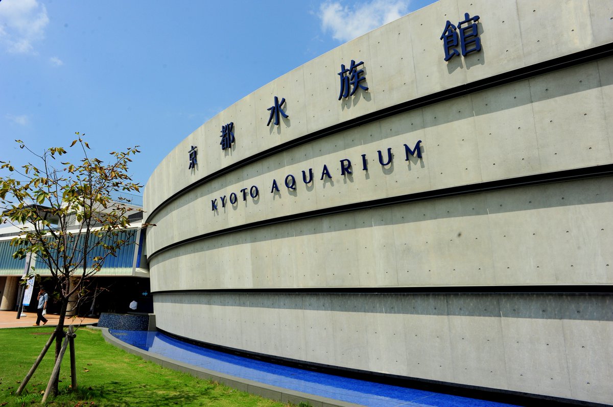 京都水族館 公式 V Twitter 京阪京都交通バスの京都水族館セット乗車券は7月1日 土 から適用エリア拡大でさらに便利に 京都駅の 京都バスチケットセンターほかでお求めいただけます ぜひお得なセット乗車券をご利用の上京都水族館をお楽しみください Https T Co